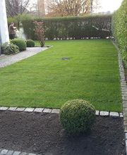 Rollrasen Kahl Bild 5