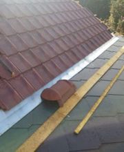 Cortes Teddy image 8