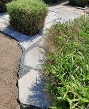 LML Jardin, Ferizi Bild 6