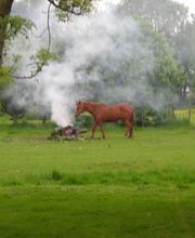 Coquet Laurence gite des Faluères image 4
