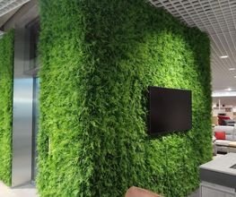 Franzen Moos Wanddesign Bild 8