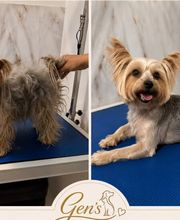 Gen's Pet Studio Bild 3