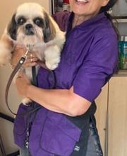 Hundesalon Toxi Horgen Bild 12