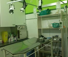 Centro Veterinario Ifach imagen 12