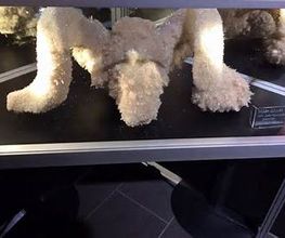 Welt der Kristalle Museum & Shop Bild 14