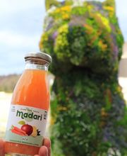Madari imagen 10