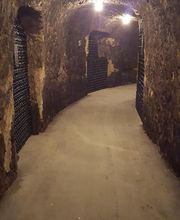 Maison Peltier image 7