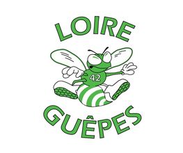 Loire Guêpes image 19