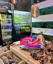 Aquasalvaje imagen 10