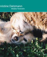 Dr. Christine Datzmann Mobile Tierarztpraxis Bild 1