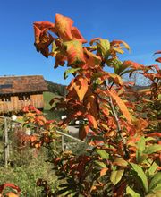 Kälin & Helbling AG Bild 2