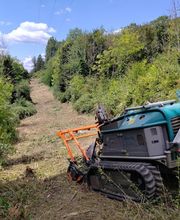 Arbres en Cimes image 3