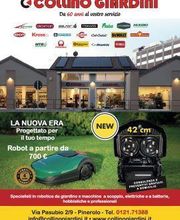 Gallery Cliente