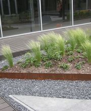 Maasbree Hovenier Herman Vaessen