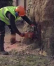 ENT RICHARD BOIS image 5