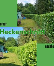 Heckenschnitt