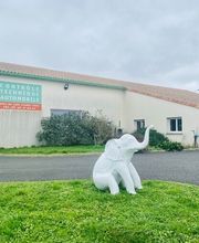 Centre contrôle technique DEKRA image 16