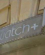 Erax GmbH, Ihr Spezialist für eine Architektur ohne Tauben Bild 2