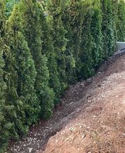 GartenService Dreher Bild 1