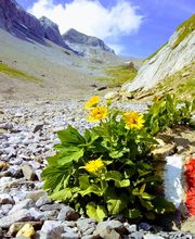 Wildhornhütte SAC / Cabane du Wildhorn CAS Bild 4