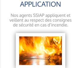 Dunois Securite image 4