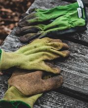 KsS KniesServices Bild 8