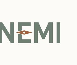 NEMI Travel imagen 1