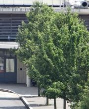 Parking gare de Nevers - EFFIA image 4