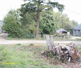 Bouvier Gianni image 14