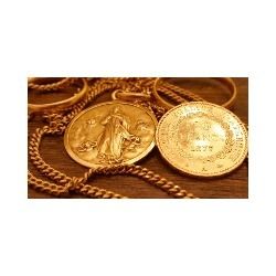 La Pepita D'Oro - Compro Oro logo