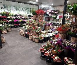 Intratuin Nijkerk afbeelding 16