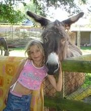 La Chaumière Aux Poneys image 7