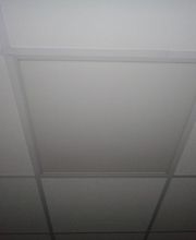 Neverlec image 12
