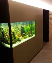 Schreinerei Lehmann AG Bild 3