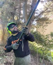 Sos Elagage image 16