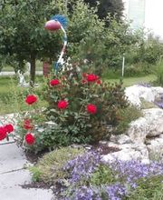 Balsiger Gärten AG Bild 4