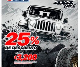 Michelin Car Service -Llantas D´ Lago Sur imagen 6