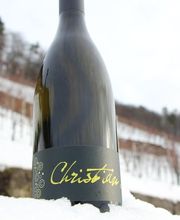 Steimer Weinbau Bild 8