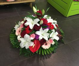 L Eclosion image 11