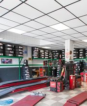 Euromaster Ferdin Gomme immagine 3