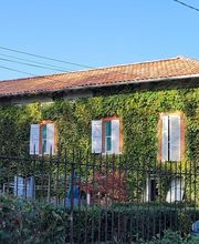 Miotto Jonathan image 4