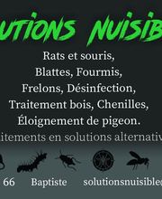 Solutions Nuisibles image 4