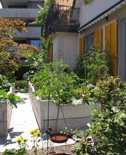 Widler Gartenbau GmbH Bild 10