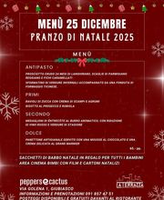 La Terrazza Bellinzona, Ristorante & Pizzeria - Snack Bar Bild 1