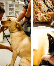 Hiram Animal Hospital image 4