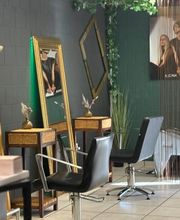 Coiffeur Hair Artist Bild 2