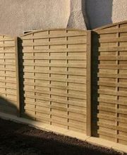 Société Moris image 11