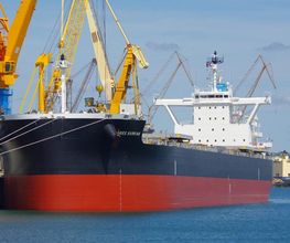 Agence Maritime Brestoise AMB image 8