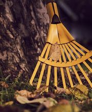 ZeiNet Services Bild 2