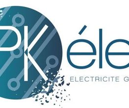 PKelec image 8